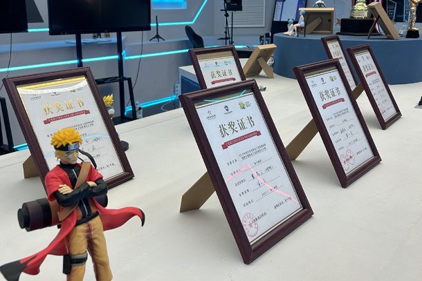 获奖展示