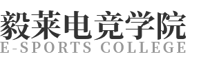 重庆市忠县毅莱职业技能培训学校有限公司